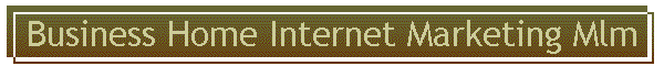 Business Home Internet Marketing Mlm