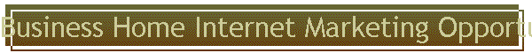 Business Home Internet Marketing Opportunity