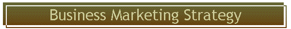 Business Marketing Strategy