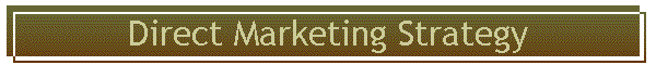 Direct Marketing Strategy