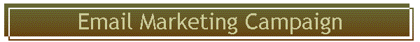 Email Marketing Campaign